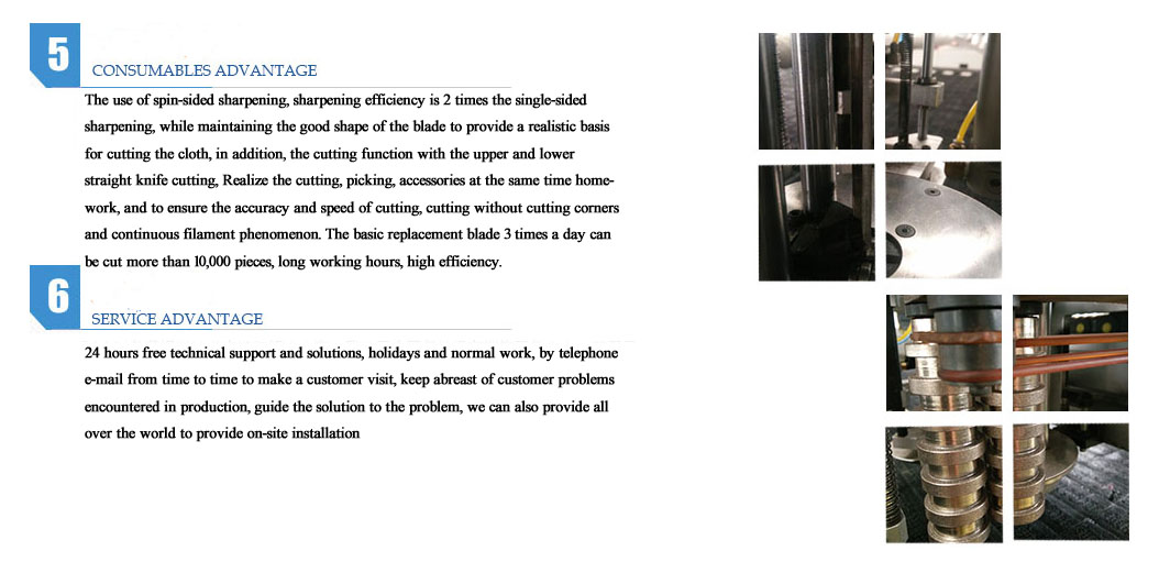 1515118152279827.jpg 优势3.jpg