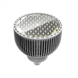 High quality special bulb light LED 60W Par64 Par light High quality special bulb light LED 60W Par64 Par light