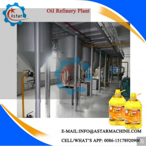 Hot Sale in Africa Vegetable Oil Refining Plant