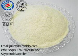 Estrogen Steroid Dehydronandrolone Acetate as Pharmaceutical Intermediate