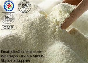 Natural 30% 50% 95% 98% Tea Polyphenols CAS 84650-60-2