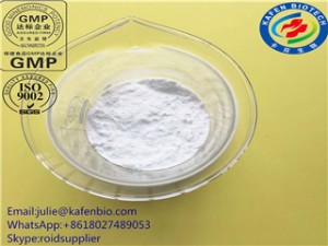 Epicatechin Factory Direct Supplying New Arrival CAS 490-46-0 L-Epicatechin