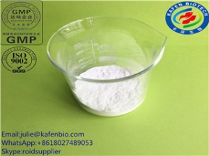 High Quality Paclitaxel for Anti-Cancer (33069-62-4) Taxus Chinensis Extract