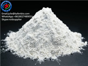 99% Purity Anticholelithogenic Powder Ursodeoxycholic Acid CAS 128-13-2 99% Purity Anticholelithogenic Powder Ursodeoxycholic Acid CAS 128-13-2