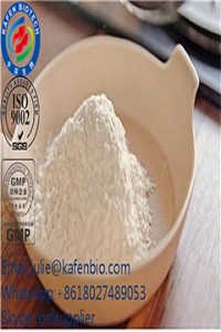 Nutritional Supplement Chondroitin Sulfate (USP32) CAS 9082-07-9