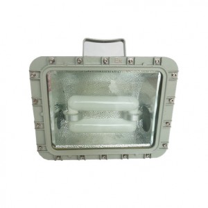 250W MH HPS Lamp Explosion proof flood light 250W MH HPS Lamp Explosion proof flood light