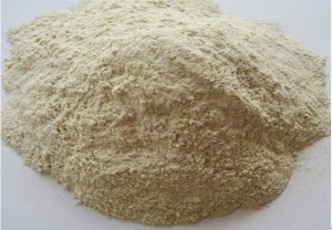 wheat gluten meal min70%protein