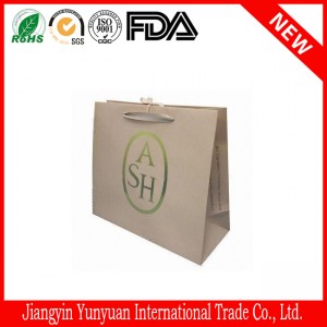 Custom Kraft Paper Bag Twist Handle Brown Shopping Bags