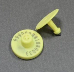 LF /HF  Animal RFID Electronic Ear Tag for identification and tracking ,A variety of chip selection