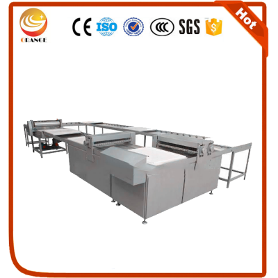 Penut candy/peanut brittle/peanut chikki productione with different capacity