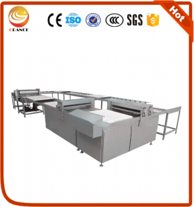 Penut candy/peanut brittle/peanut chikki productione with different capacity Penut candy/peanut brittle/peanut chikki productione with different capacity