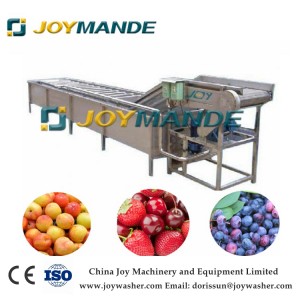 Industrial Fruit Washing Machine Fruit Washer With CE