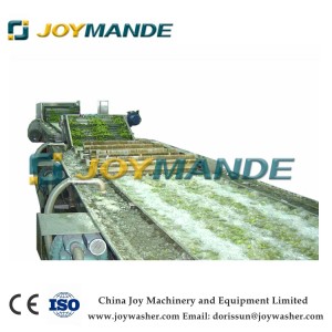 Industrial Leafy Vegetable Washing Machine Cleaning Machine