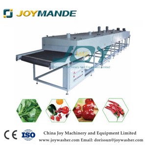 Cheap Price Hot Air Vegetable And Fruit Drying Machine With CE