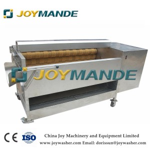 Industrial Brush Ginger Radish Beetroot Peanut Washing Cleaning Machine