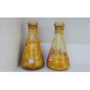 Agarwood essential oil