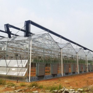 Air Ventilation System for Venlo glass Greenhouse