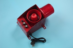 Voice audible and visual alarm type 11-9F