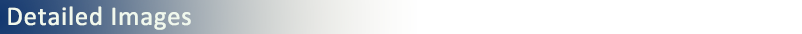Detailed-Images.png