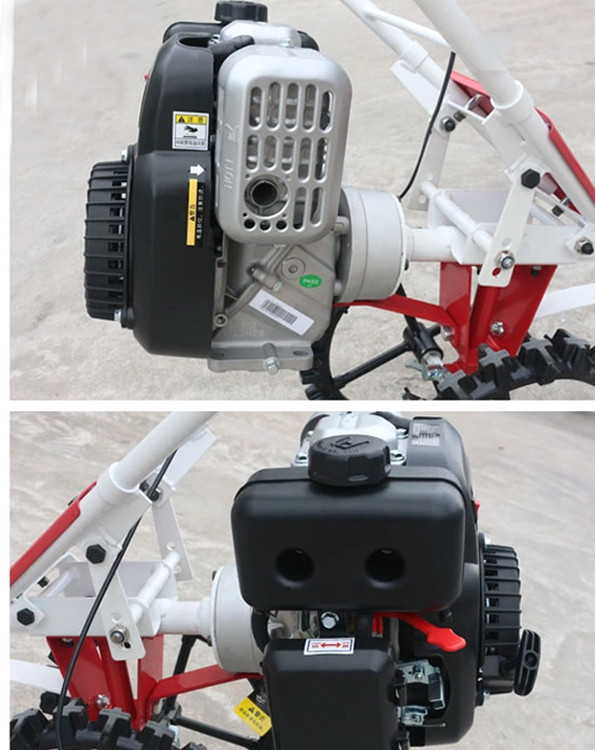 1546571241383535.jpg 5.jpg