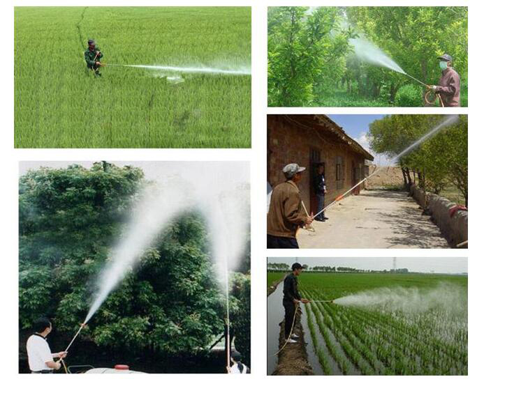 1544513910946305.jpg 5.jpg