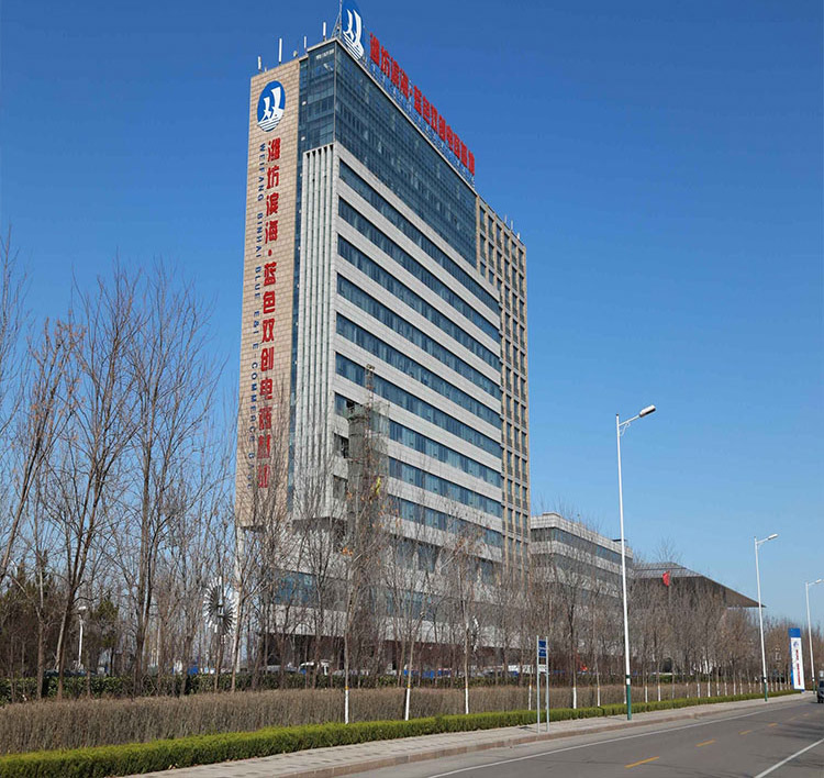 1546413690928451.jpg 9.jpg