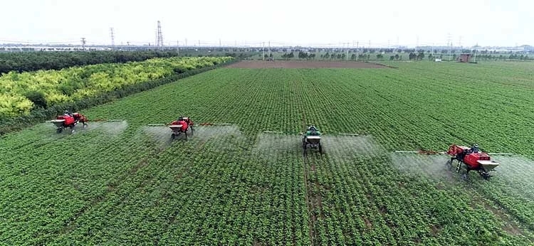 1562050576586417.jpg 去_wps图片.jpg