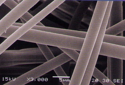 PP-membrane-electron-microscopic-photo.jpg