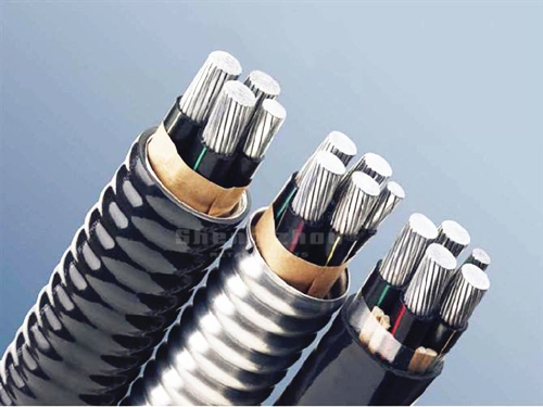 Cable Armored Aluminum Strip.jpg