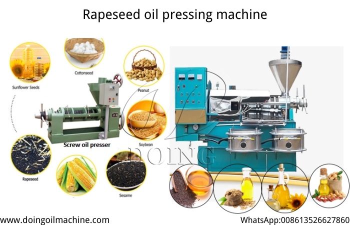 sunflower oil press