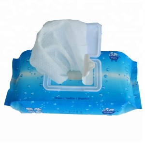 New product Baby Flushable Tissue Disposable Wet Wipes Cotton Cleaning Cloth Body Face Care Wet Tissue