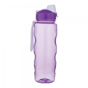 high quality hot sale wholesale best price reusable 650ml double wall plastic bottle