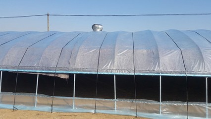 winter-greenhouse-with-quilt-covering-for-insulation.jpg