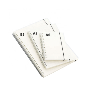 IN STOCK A5 A6 B5 school cheap thick plain paper blank cover spiral notebooks plastic double wire college diary