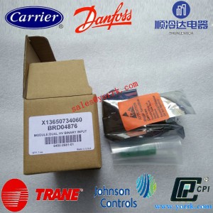 X13650734060 dual triac output BRD04876 dual triac output BRD04876