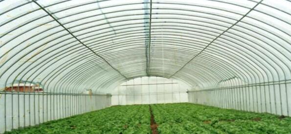 1479882442449619.jpg 29.jpg