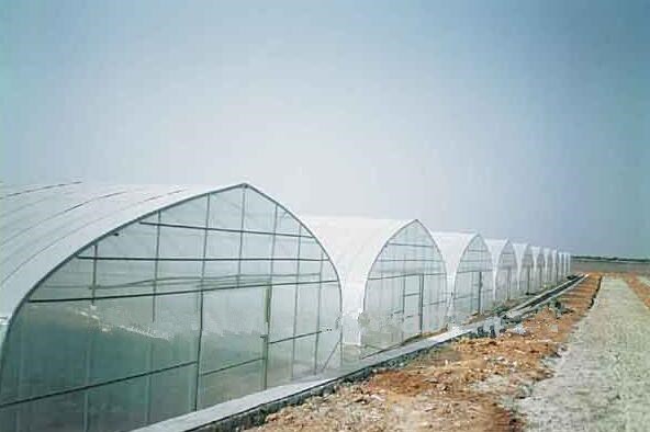 1479882575736199.jpg 30_副本.jpg