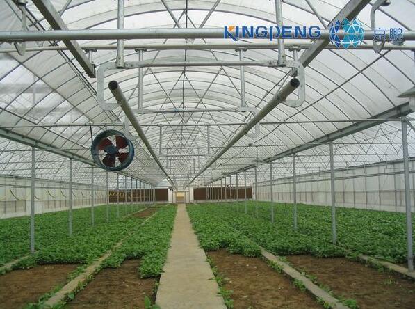 1479887321415777.jpg 55.jpg