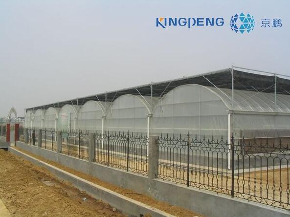 1479887351143796.jpg 56.jpg