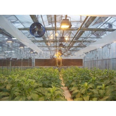 Agricultural Artificial Light System for Greenhouse