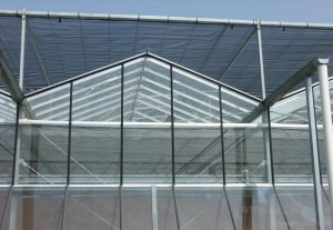 Glass Multi-Span Greenhouse