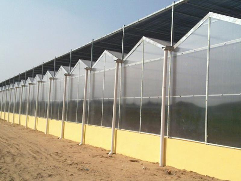 PC-sheet Multi-Span Greenhouse