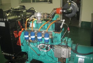 Gas-fired generator set