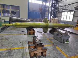 Flanged shaft Flanged shaft