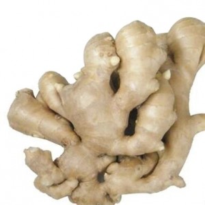 FRESH GINGER