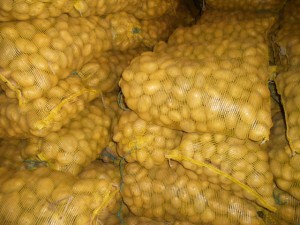 Fresh Potatoes Fresh Potatoes
