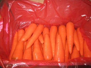 Fresh Carrot