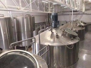 Beer Brewing Equipment