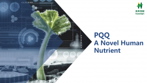 PQQ