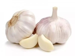 FRESH GARLIC FRESH GARLIC